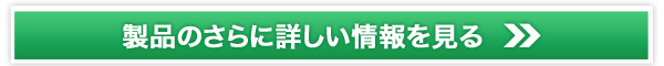 Hꃏ[NX̔TCg